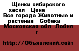 Щенки сибирского хаски › Цена ­ 12 000 - Все города Животные и растения » Собаки   . Московская обл.,Лобня г.